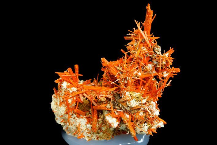 Bright Orange Crocoite Crystal Cluster - Tasmania #182727